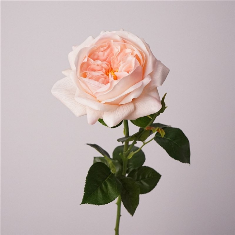 Highly realistic soft-touch rose