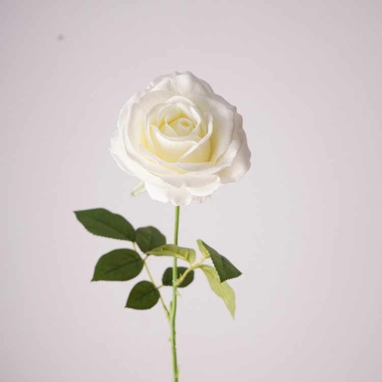 Wholesale Soft-touch Materia Rose