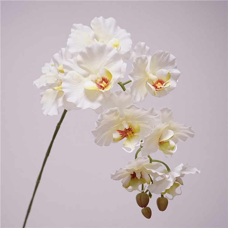 Artificial soft-touch Phalaenopsis orchid