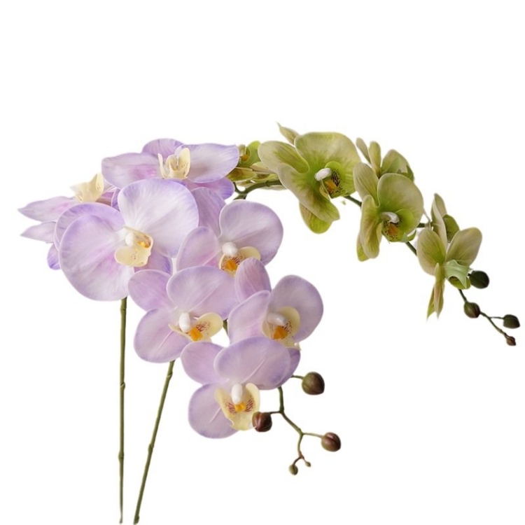 Realistic Artificial Phalaenopsis orchid