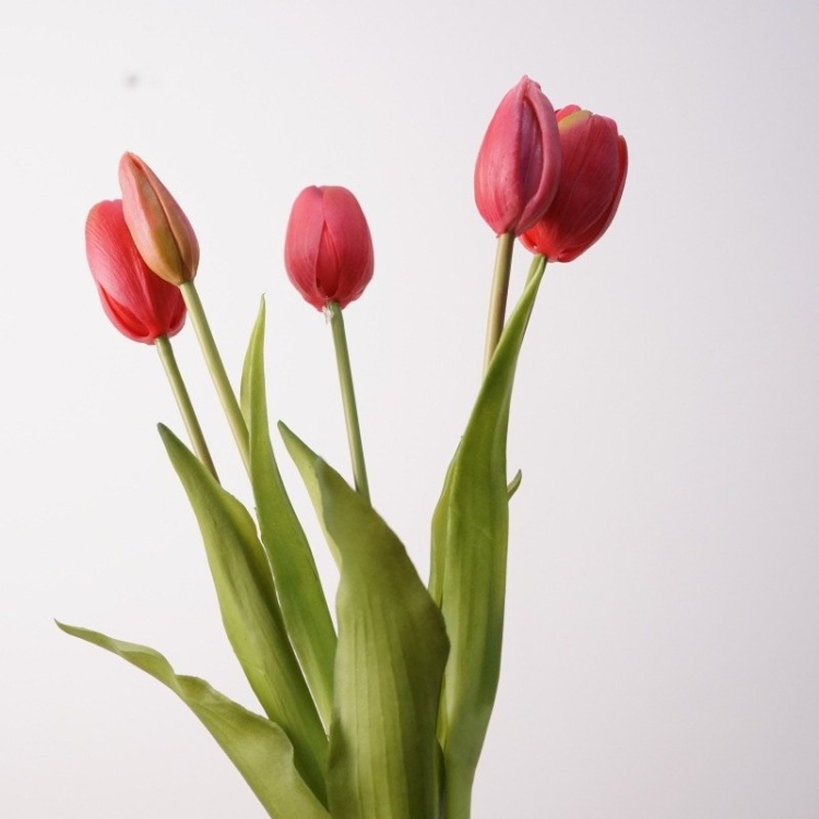 A bunch  of artificial tulips with five flowers
