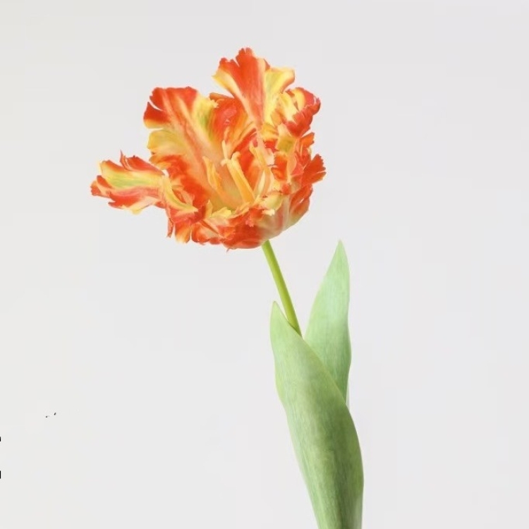 Artificial  parrot tulip