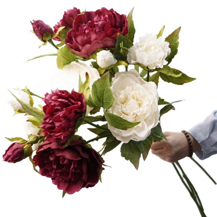 A realistic peony with three blooms