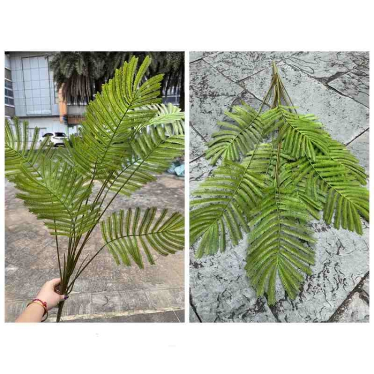 Artificial Cojoba Arborea Leaf Bunch