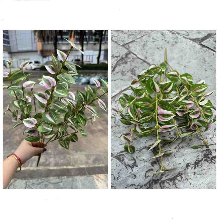 Artificial variegated Tradescantia