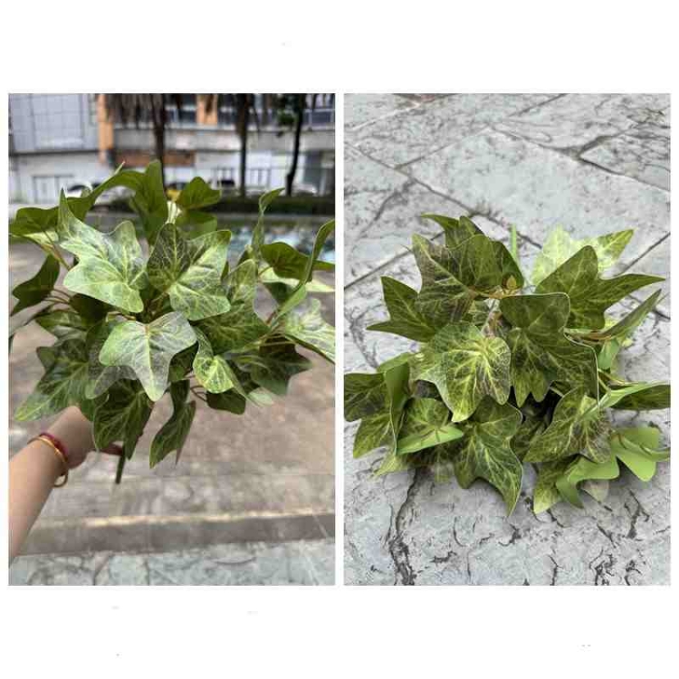 Lifelike sweet potato leaf