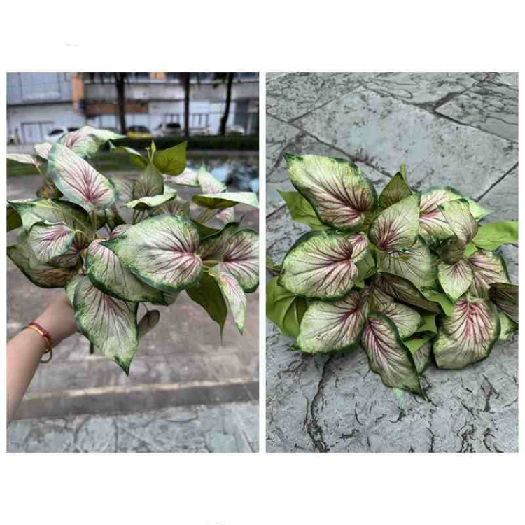 Lifelike Apple Tree Leaf