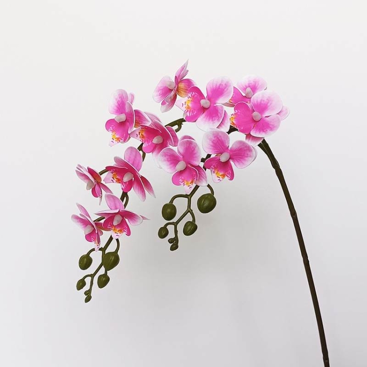 Artificial Phalaenopsis Orchid Spray – 64cm