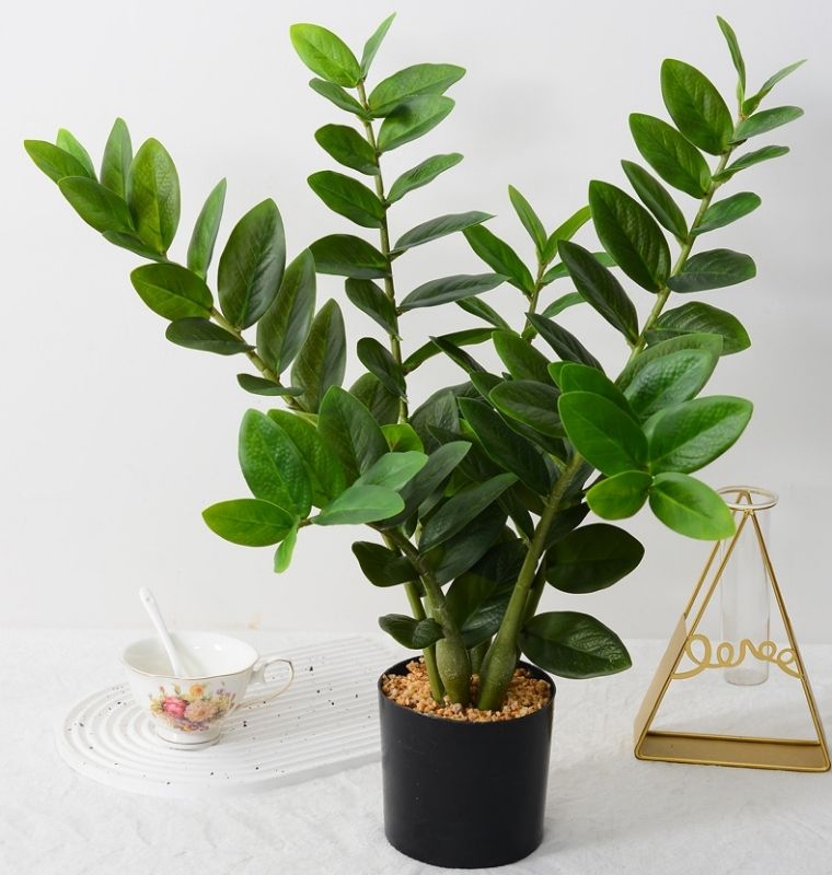 Artificial Zamioculcas zamiifolia