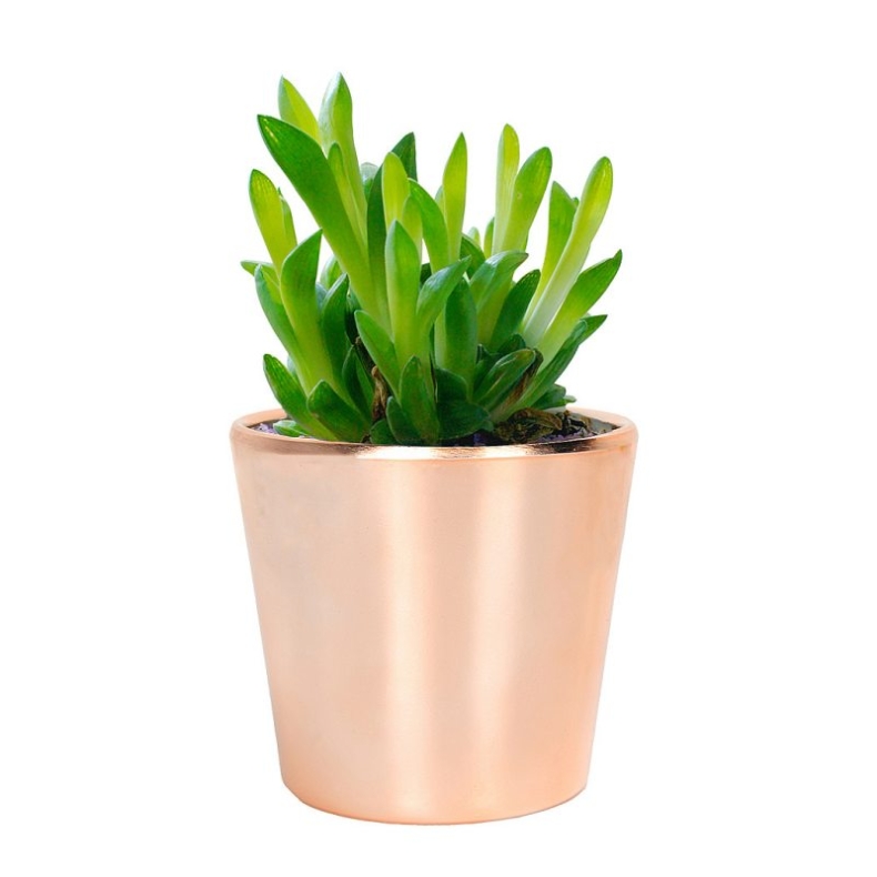 Electroplated plastic flower pots