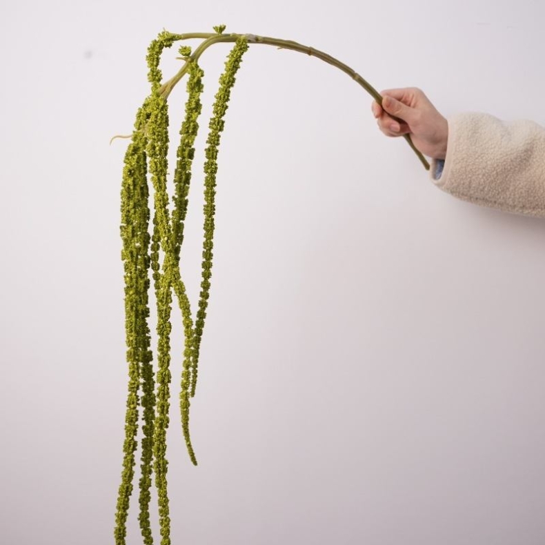 Artificial amaranth without leaf