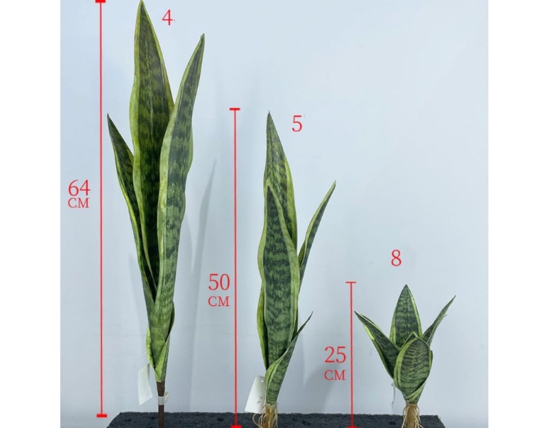 Artificial  snake plant