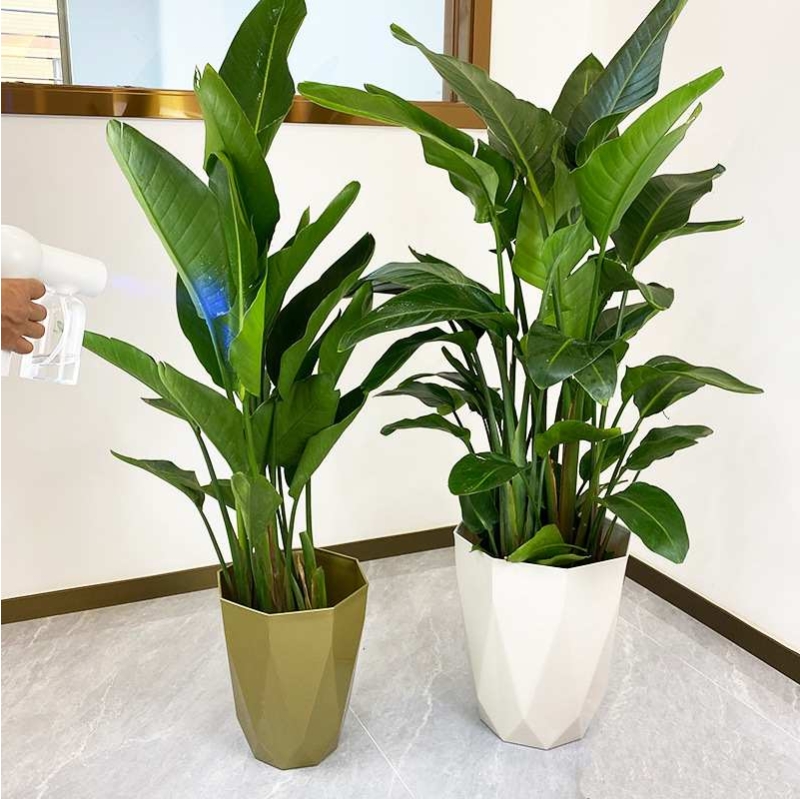 Diamond-shaped large flower pot