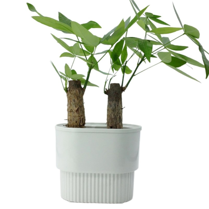 Double-layered Twin plastic flower pots