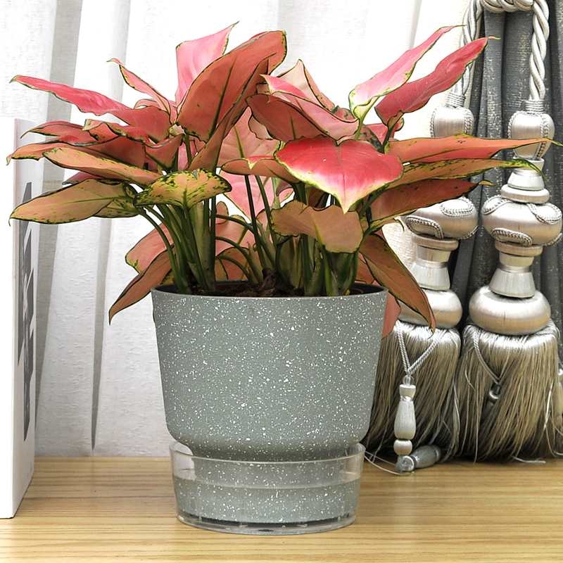 Automatic water-absorbing flower pot