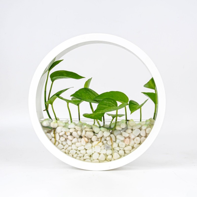 Wall-mounted flower pots