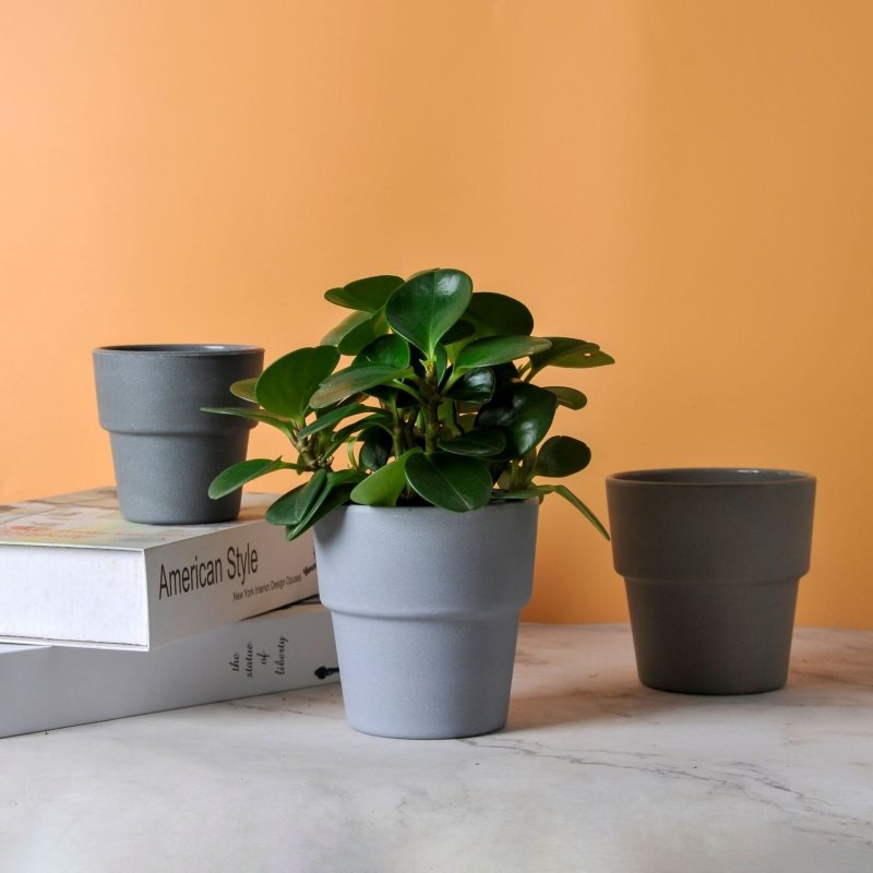 Non-porous flower pot