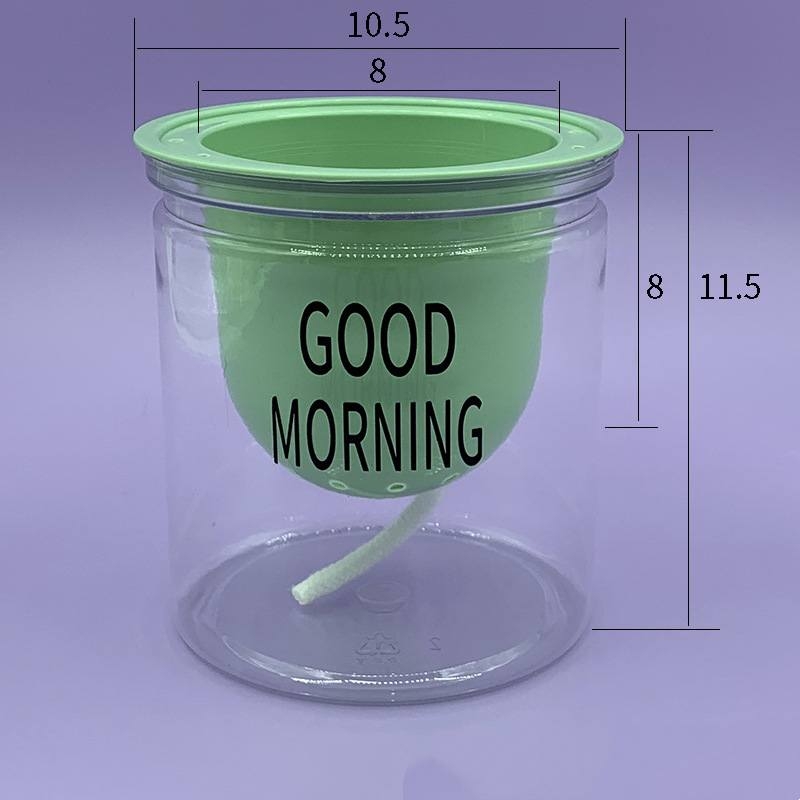Transparent plastic flower pot with absorbent cotton rope