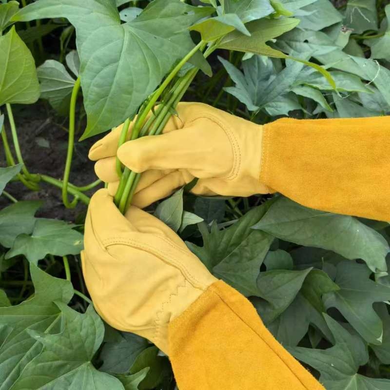 Leather gardening gloves wholesale