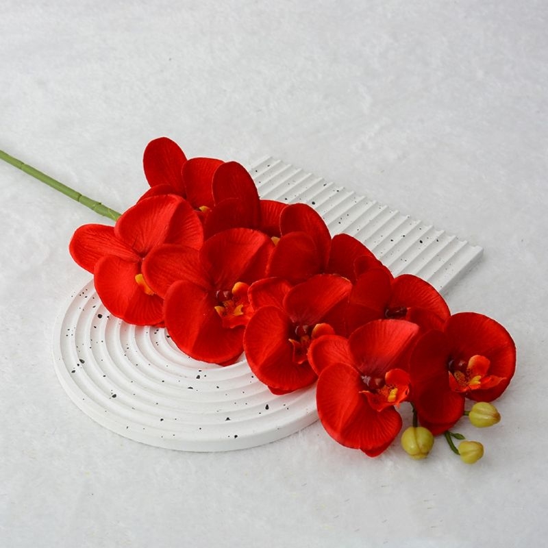 High-fidelity Phalaenopsis orchid