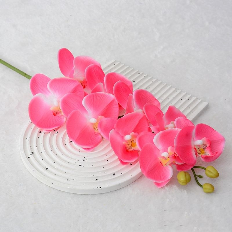 High-fidelity Phalaenopsis orchid