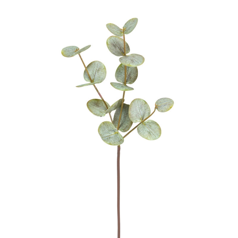 Artificial  eucalyptus branches