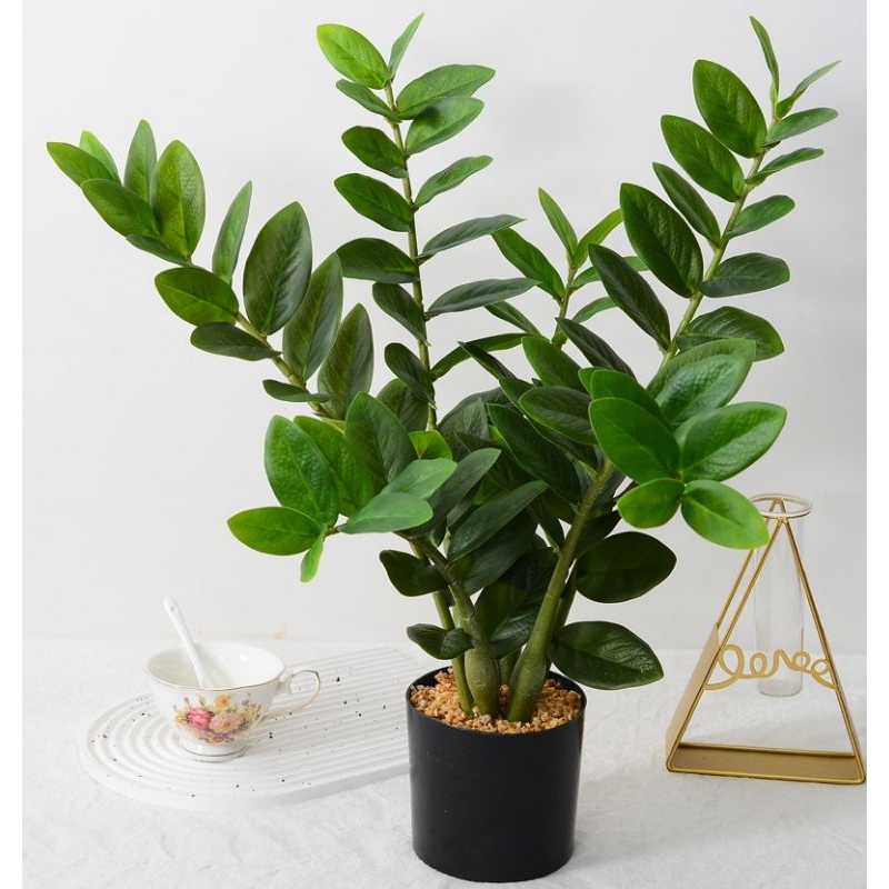 Artificial Zamioculcas zamiifolia