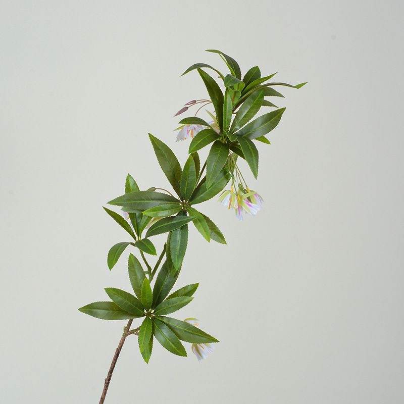 Artificial Hainan Elaeocarpus
