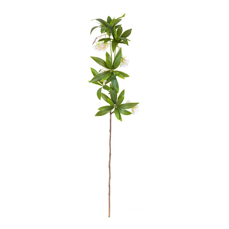 Artificial Hainan Elaeocarpus