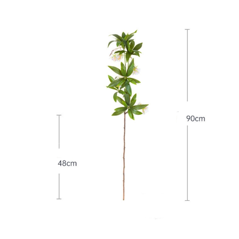 Artificial Hainan Elaeocarpus