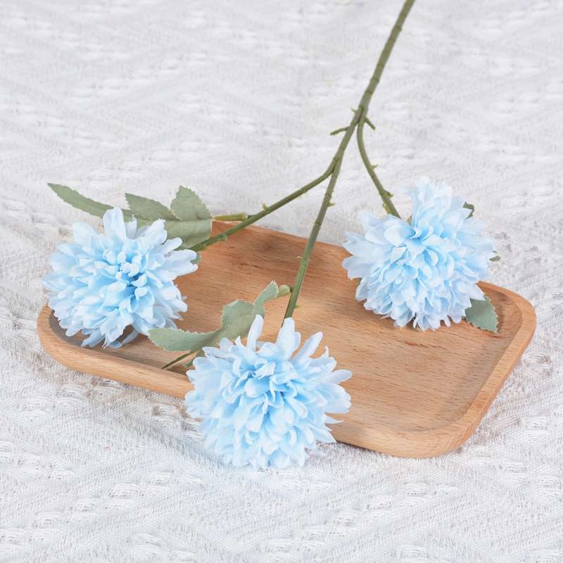 African Ping Pong Chrysanthemum