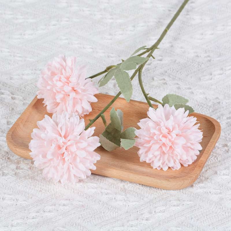 African Ping Pong Chrysanthemum