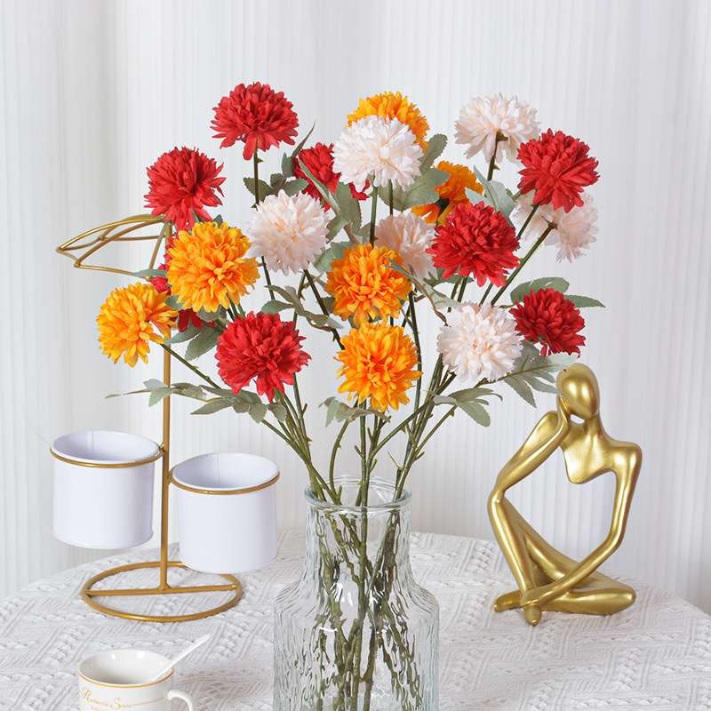 African Ping Pong Chrysanthemum