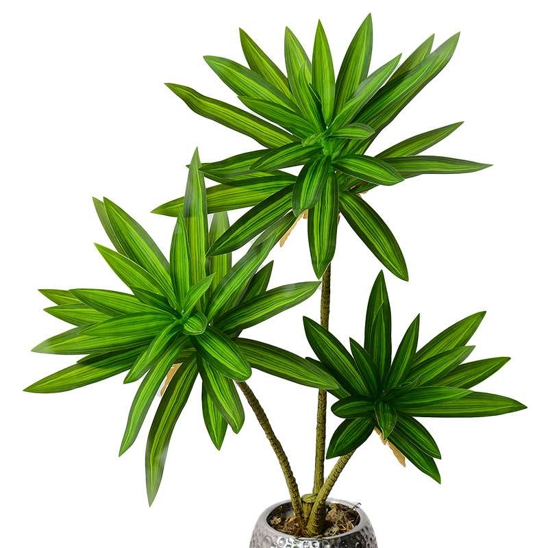 Artificial  Dracaena Reflexa