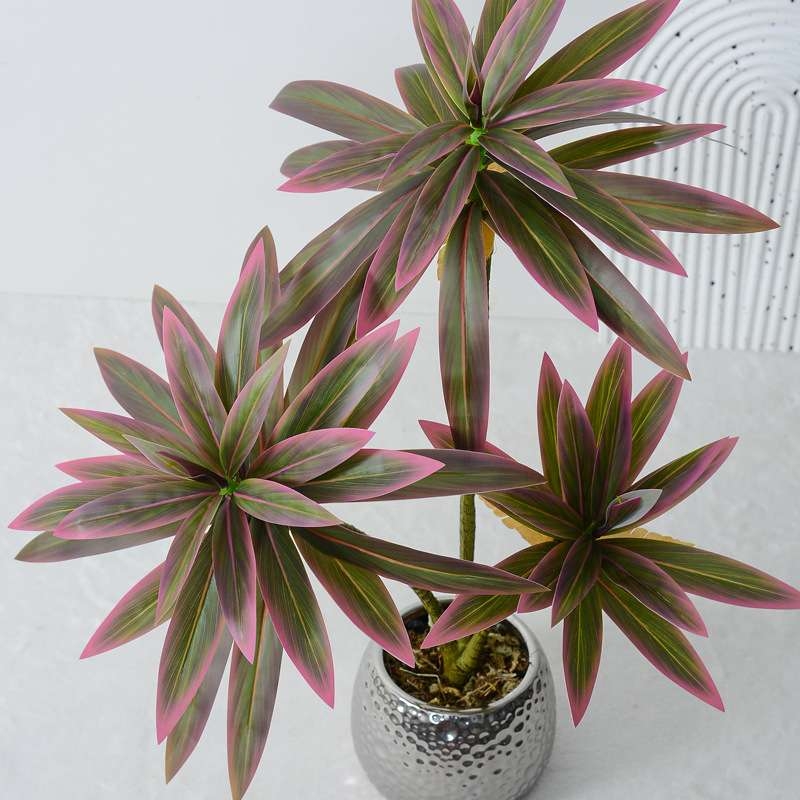Artificial  Dracaena Reflexa