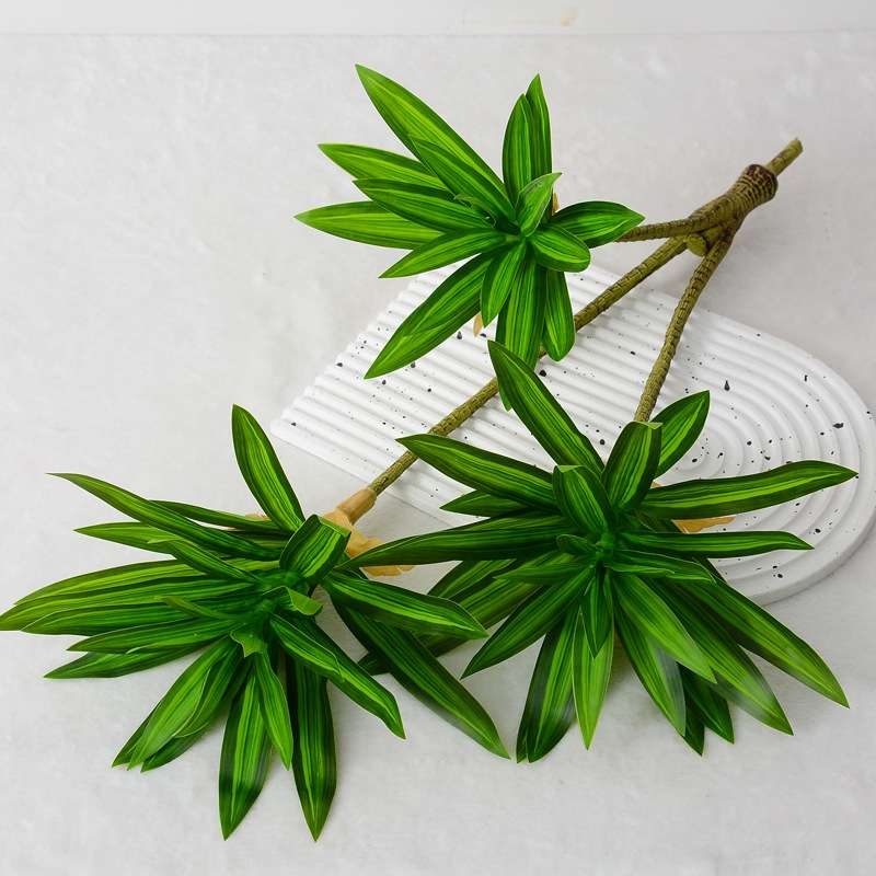 Artificial  Dracaena Reflexa