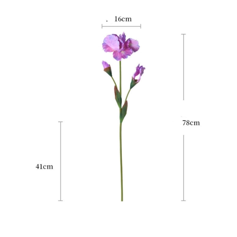 Artificial Iris