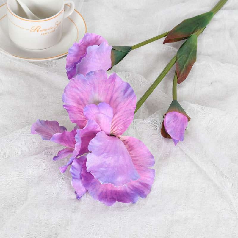 Artificial Iris