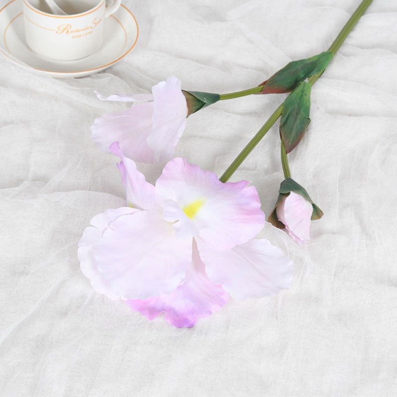 Artificial Iris