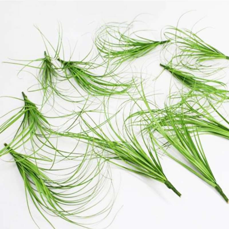 Artificial Onion Grass