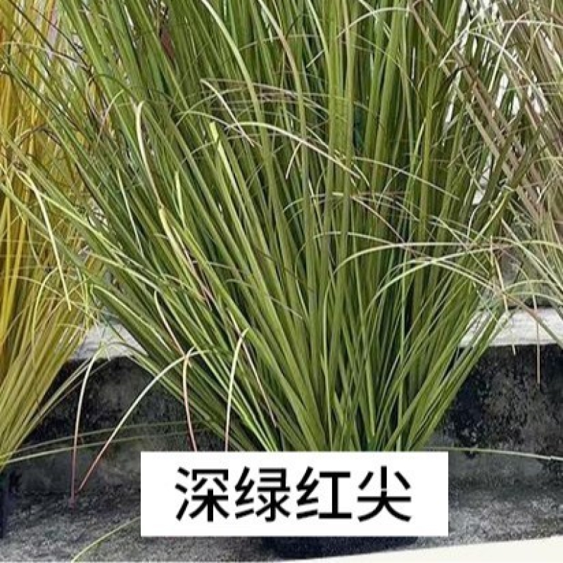 Artificial Onion Grass Bush