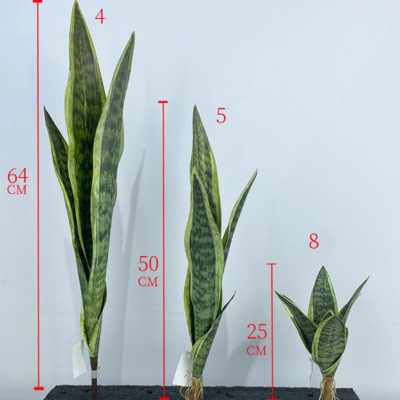 Artificial  snake plant