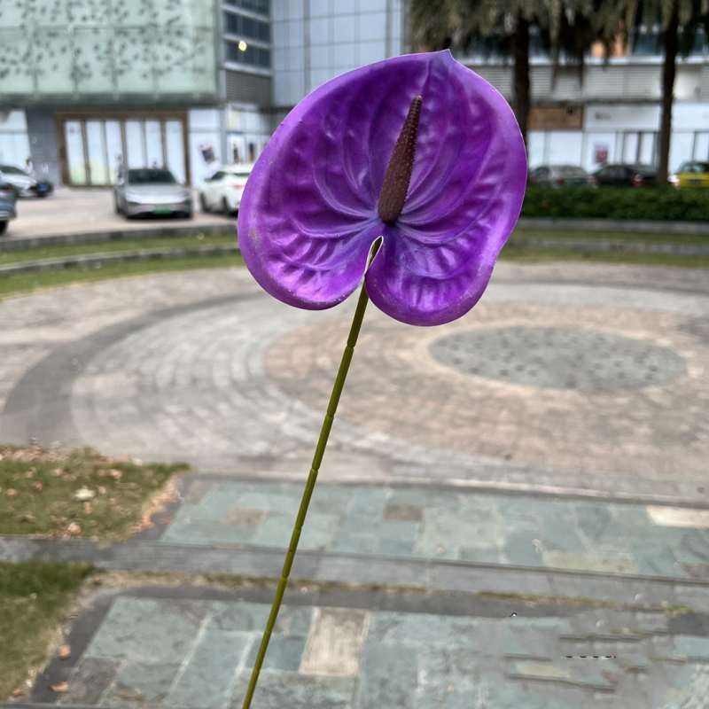 Artificial Anthurium