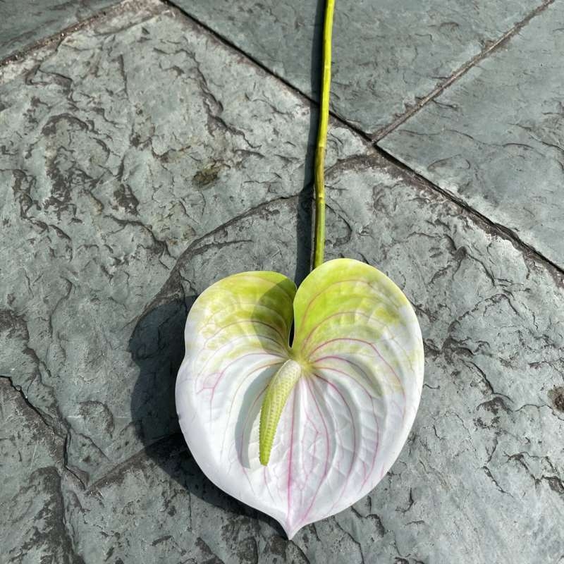 Artificial Anthurium
