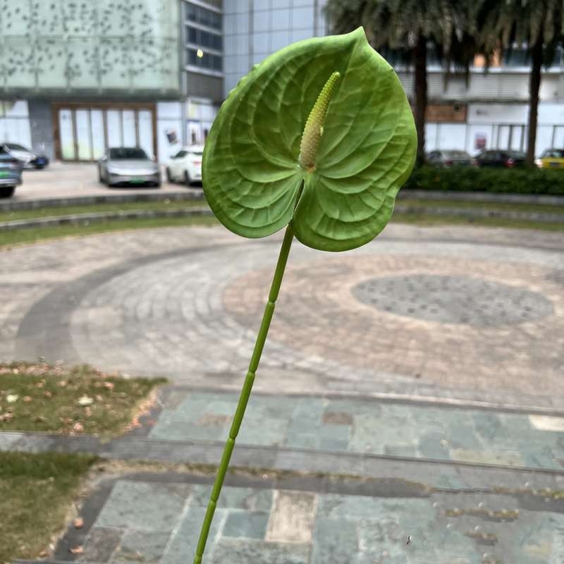 Artificial Anthurium