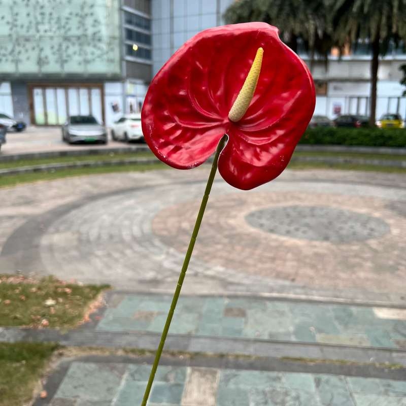 Artificial Anthurium