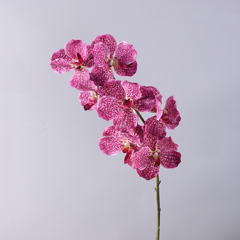 Soft-touch artificial mimics Vanda orchid