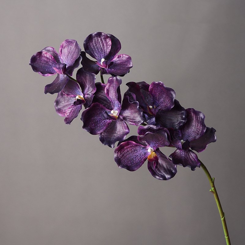 Soft-touch artificial mimics Vanda orchid