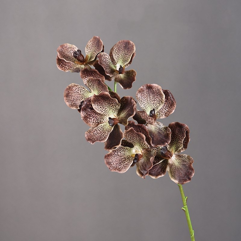 Soft-touch artificial mimics Vanda orchid