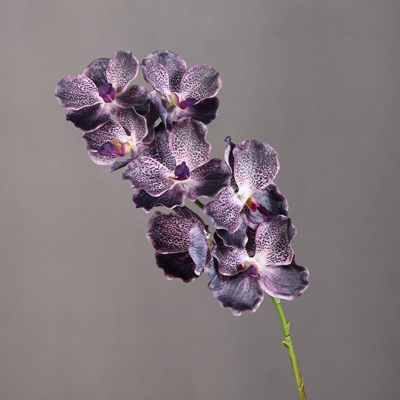 Soft-touch artificial mimics Vanda orchid